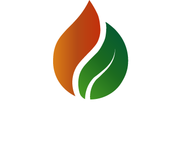 colorful leaf logo representing sustainability and eco-friendly practices with a gradient design